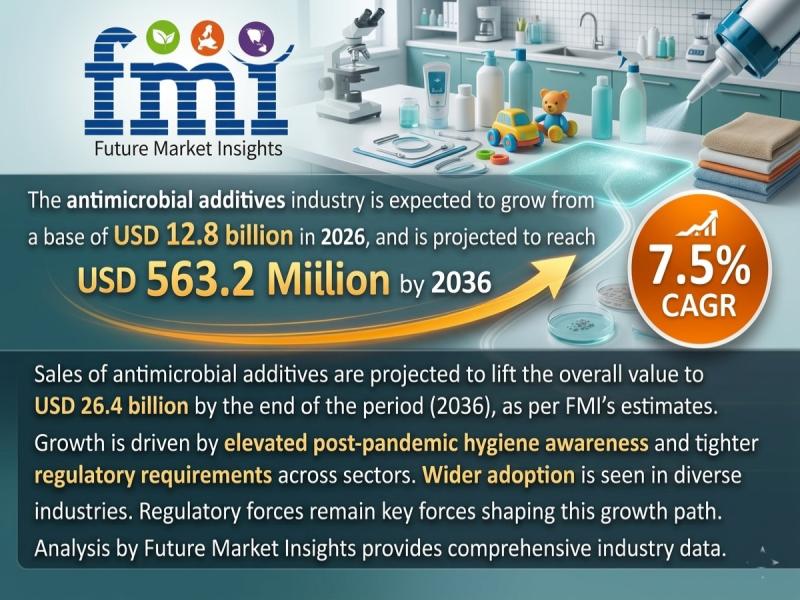 Antimicrobial Additives Market