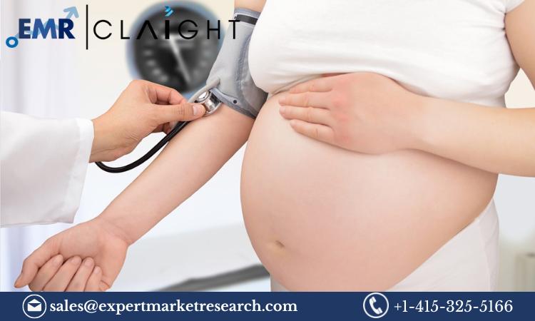 Preeclampsia Market Size, Share, Trends, Report and Forecast