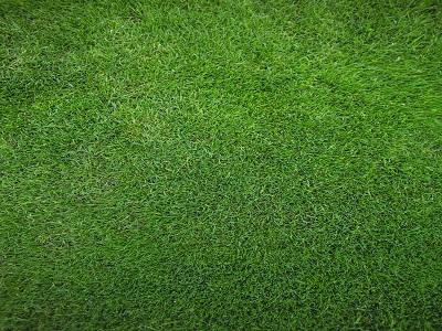 Artificial Turf Market