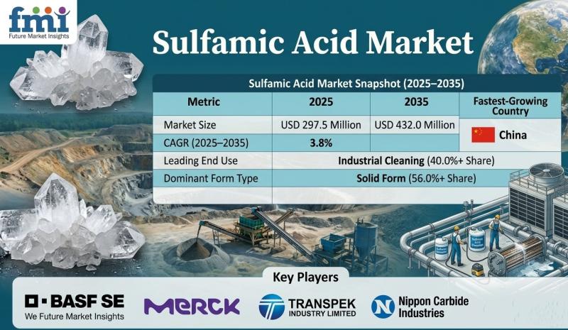 Sulfamic Acid Market Outlook 2035: Asia-Pacific Dominates Amid