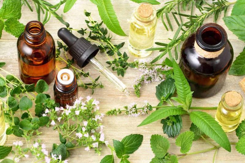 Natural Personal Care Ingredients Market