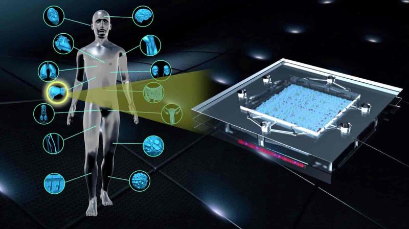 U.S. AI in Oncology Market