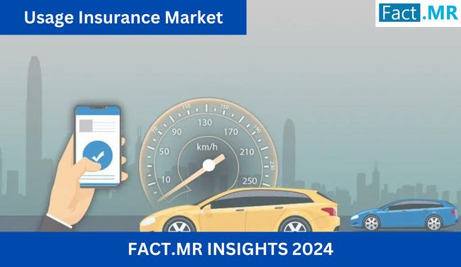 Usage Insurance Market