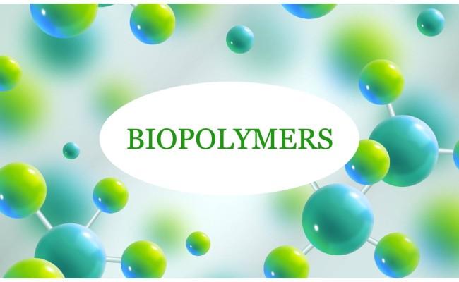 Biopolymers Market