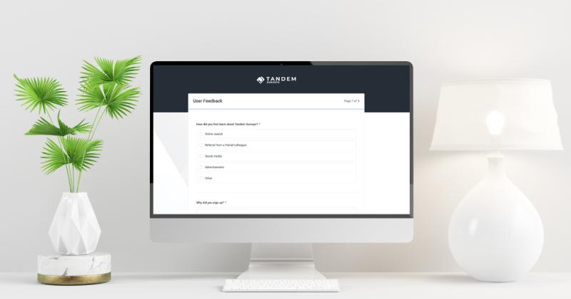 Tandem Surveys: User-Friendly Online Survey App With Powerful Reporting