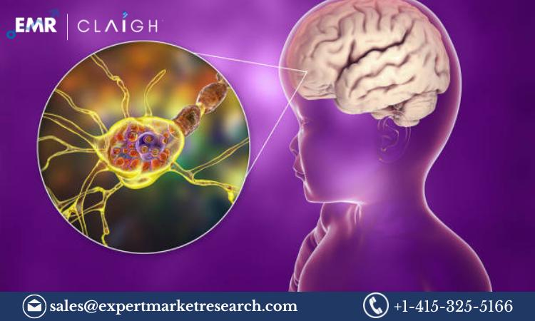 Tay Sachs Disease Market Size, Report and Forecast 2024-2032