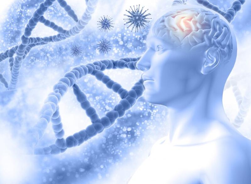 Cerebroprotein Hydrolysate Drug Market was valued at 216 million in 2023 and is projected to reach US$ 573 million by 2033