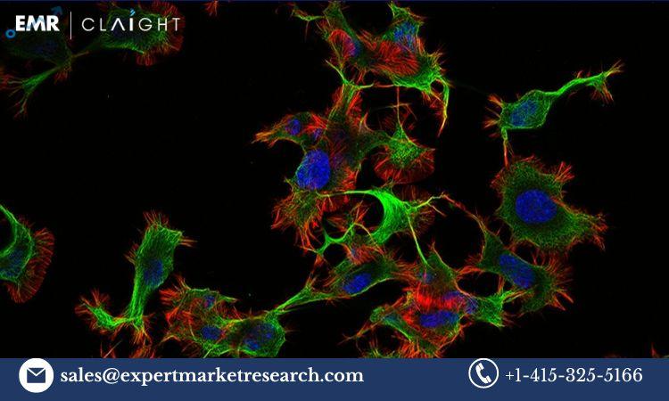 Fluorescence Cell Market