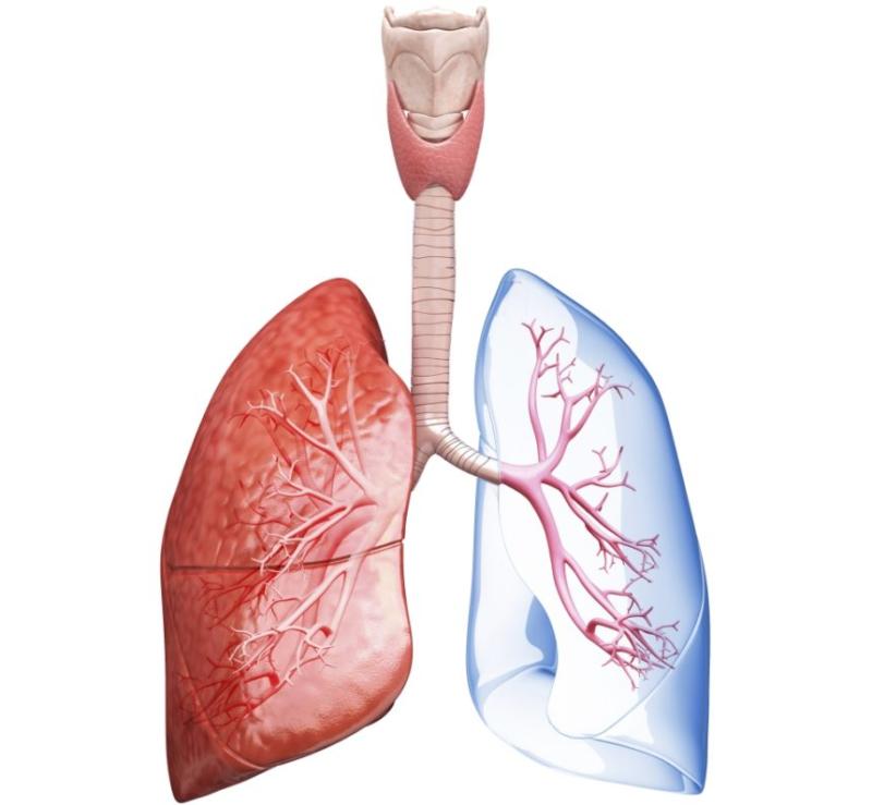 Asthma And COPD Market