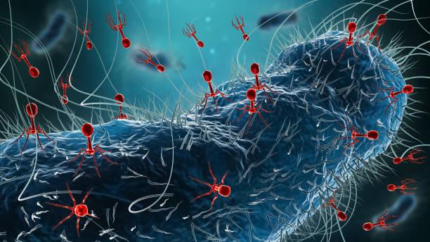 Bacteriophage Therapy Market will generate new growth