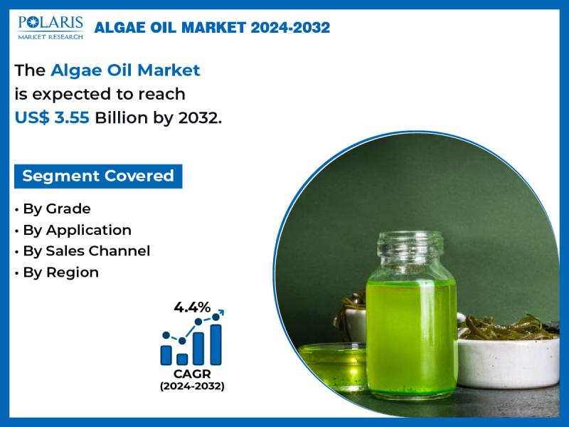 Algae Oil Market