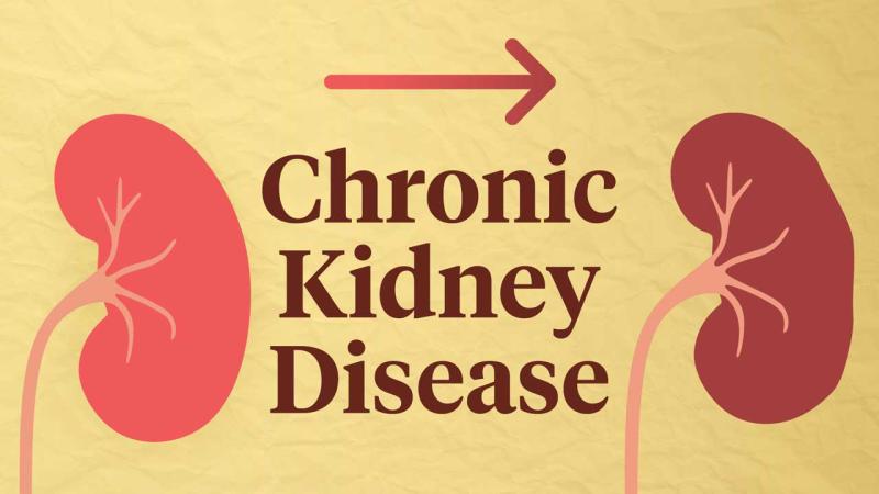 Chronic Kidney Disease Market