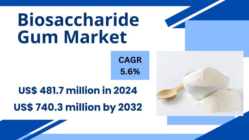 As of 2024, the global biosaccharide gum market was valued at US$ 481.7 million. This market is forecasted to reach US$ 740.3 mill
