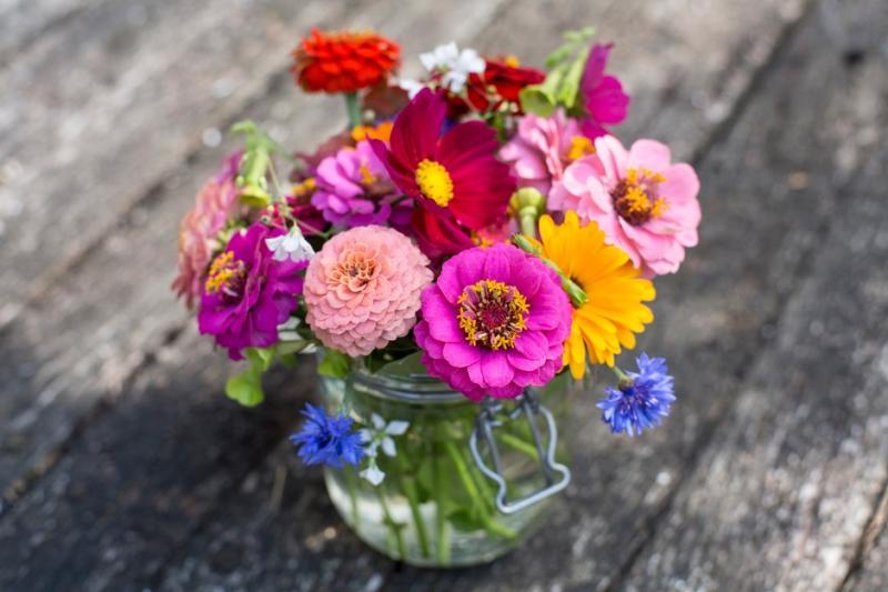 Cut Flowers Market Is Booming So Rapidly | Florensis, Oserian, Kariki