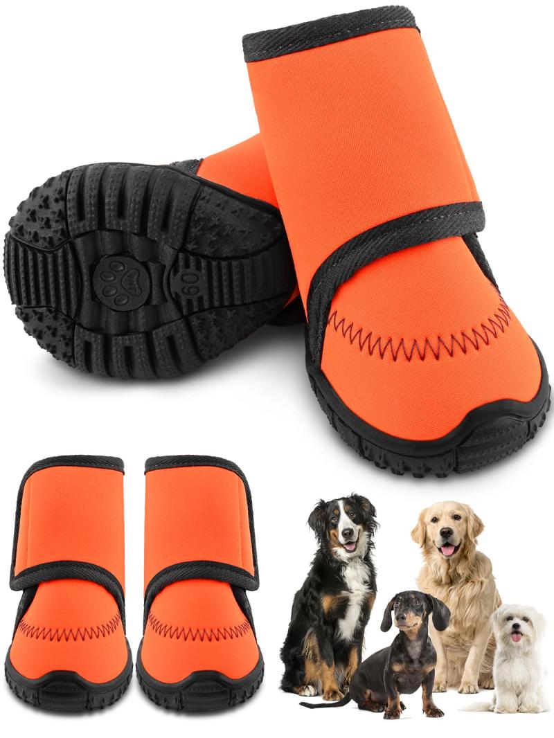 Dog Shoes Market