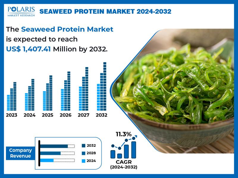 Seaweed Protein Market