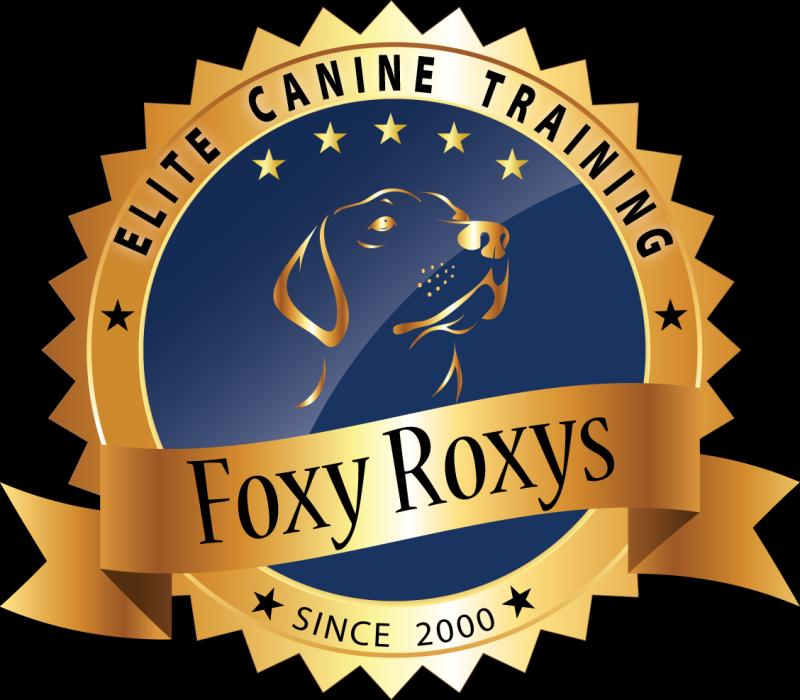 Austin Luxury Dog Boarding & Cage-Free Dog Daycare Foxy ROXYS