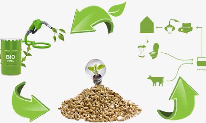 Biomass Recycling Market