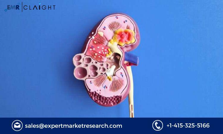 Lupus Nephritis Treatment Market