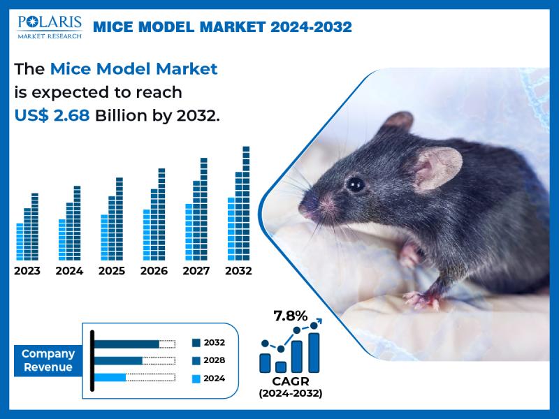 Mice Model Market
