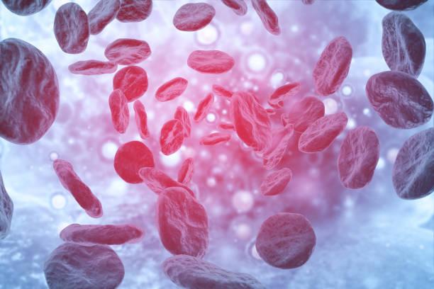 Hematology Market Is Booming Worldwide 2024-2031 | Siemens