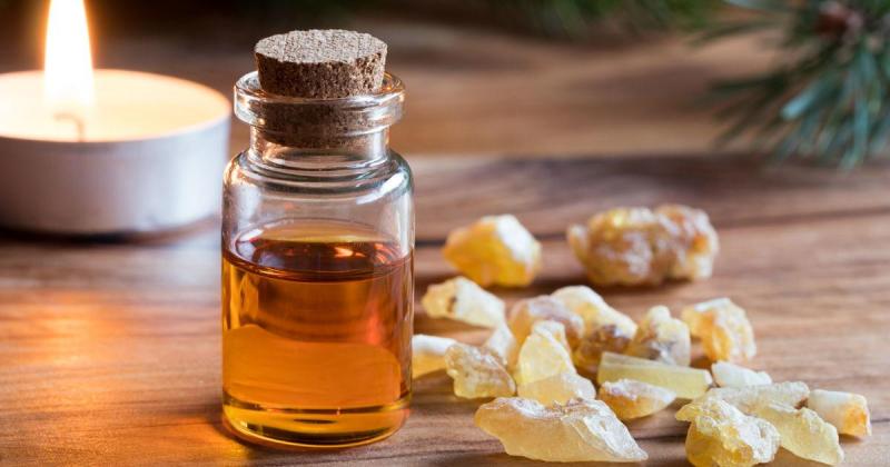 Frankincense Extracts  Market