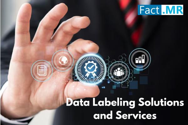 Data Labeling Solution and Services Market Surges Past US$ 74.5