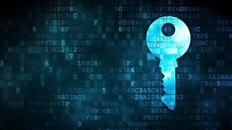 Data Encryption Tools Market