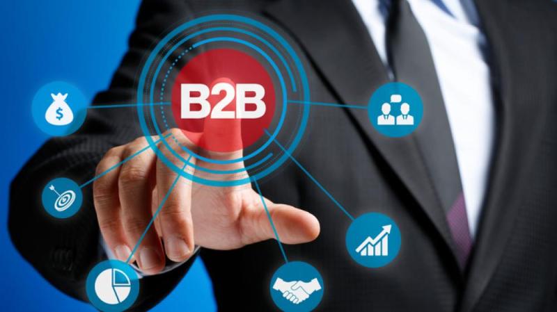 B2B Matchmaking Services Market