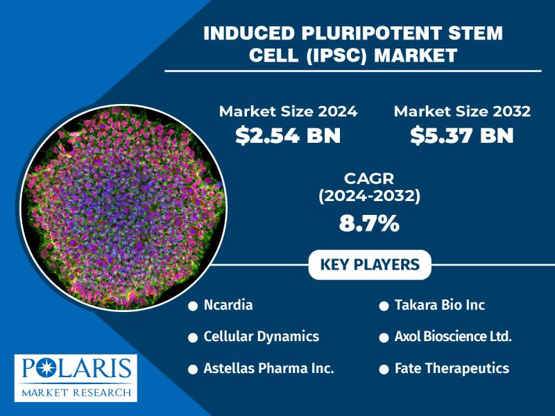 Induced Pluripotent Stem Cell (Ipsc) Market