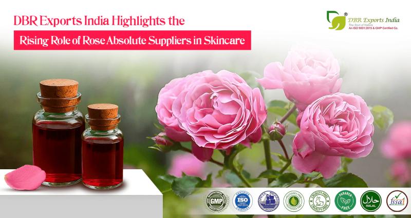 DBR Exports India Highlights the Rising Role of Rose Absolute Suppliers in Luxury Skincare