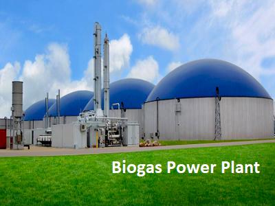 Biogas Power Plant Market