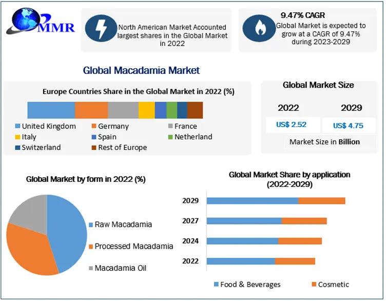 Macadamia market Size, Growth, Statistics & Forecast Research