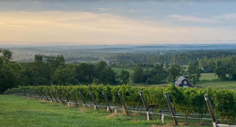 Uncork Loudoun brings together 13 Loudoun County wineries to grow local wine lists across the DC region. Photo courtesy of Loudoun