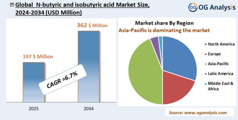 Nbutyric And Isobutyric Acid Market Analysis 2025-2034: Industry Size, Share, Growth Trends, Competition and Forecast Report