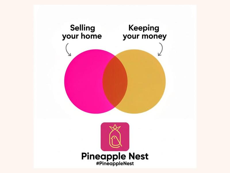 Pineapple Nest - the UK property platform where buyers and sellers connect directly, without an estate agent.