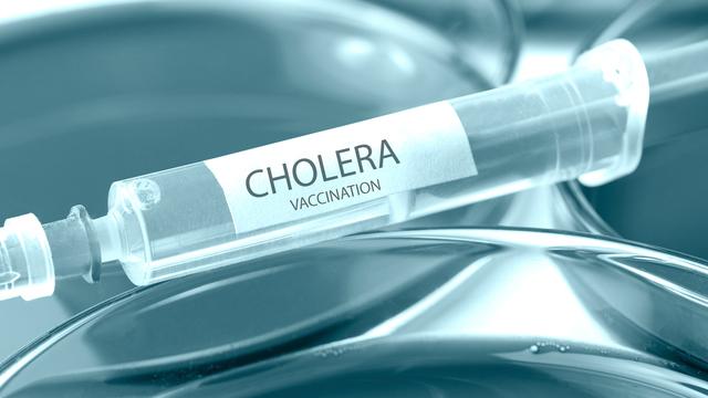 Global Cholera Vaccines Market