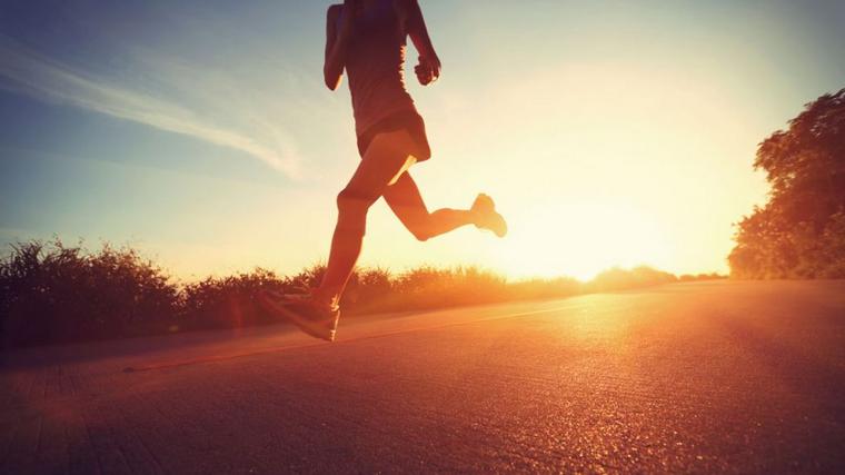 The surprising science behind sport: how regular exercise rewires your body and mind