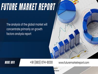 Exploring Commercial Deep Fryer Market: Size, Share, Growth