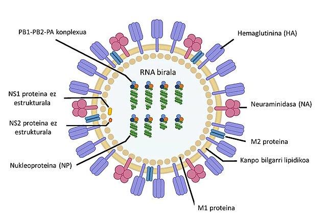 Global Anti-Influenza Virus Chinese