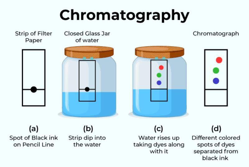 Chromatography Market Expected to Witness Strong Growth by 2031