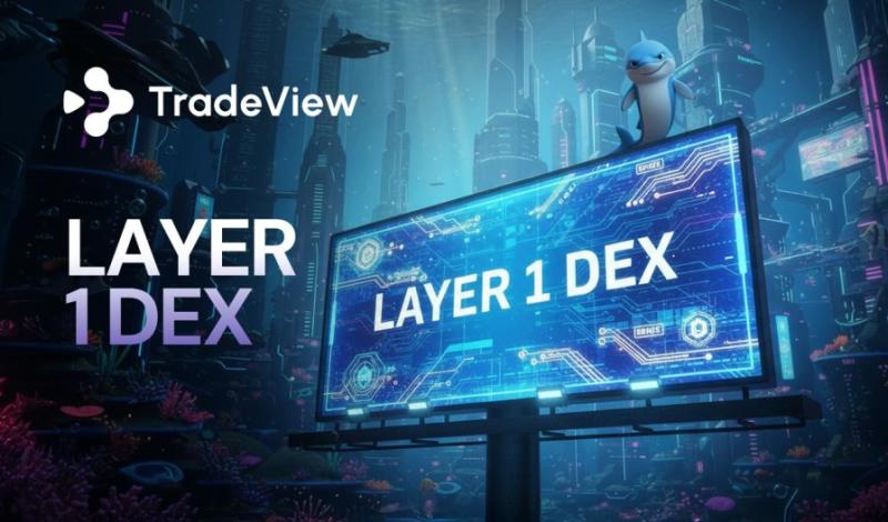 Binance ve Tradeview Arasındaki Rekabet: Yeni Perp Platformu CEX ve DEX Arasındaki Köprüyü Oluşturuyor