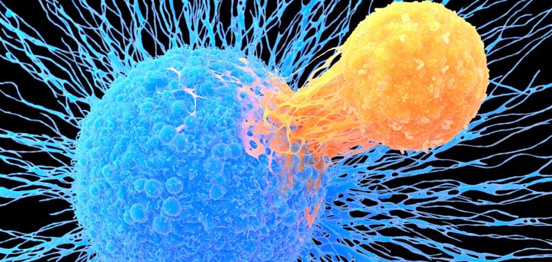 CAR T-Cell Therapy Market Expected to Grow at 23.8% CAGR by 2030