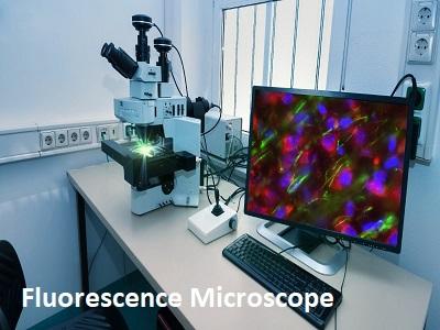 Fluorescence Microscope Market