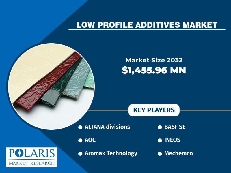 Low Profile Additives Market