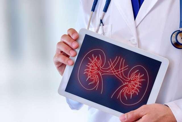Renal Medical Devices and Services Market