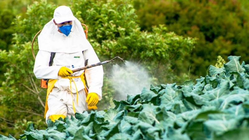 Biological Pesticide Market