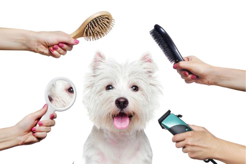 Pet Grooming Products Market