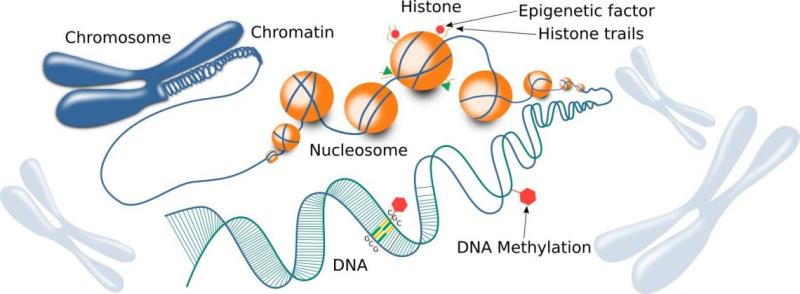 Epigenetics Market With In-Detailed Competitor Analysis,