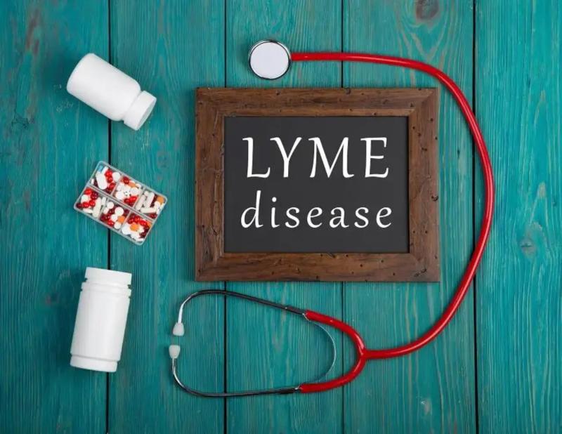 Lyme Disease Diagnostics Market